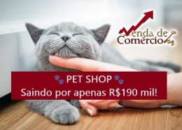 Pet Shop no Gonzaga em Santos! 