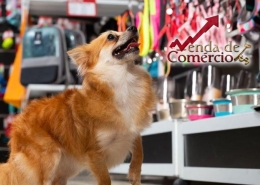 Petshop com Banho & Tosa e Taxi Dog!