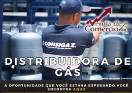Distribuidora de Gás em PG - Deixando R$ 60 mil de lucro!