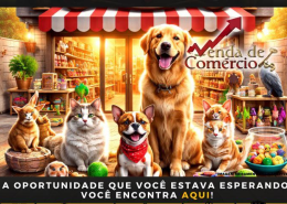 Pet Shop em São Vicente - Deixando R$ 9 mil de lucro! 